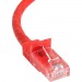 StarTech.com N6PATCH100RD 100 ft Red Snagless Cat6 UTP Patch Cable