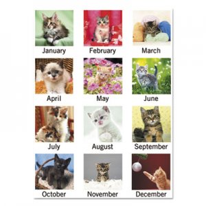 At-A-Glance AAGDMW16728 Puppies Monthly Wall Calendar, 15 1/2 x 22 3/4, 2016 DMW167-28