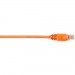 Black Box CAT5EPC-005-OR CAT5e Value Line Patch Cable, Stranded, Orange, 5-ft. (1.5-m)