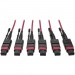 Tripp Lite N858-23M-3X8-MG MTP/MPO Multimode Base-8 Trunk Cable, Magenta, 23 m