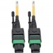 Tripp Lite N390-02M-12-AP MTP/MPO Singlemode Patch Cable (F/F), Yellow, 2 m