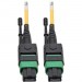 Tripp Lite N390-07M-12-AP MTP/MPO Singlemode Patch Cable (F/F), Yellow, 7 m