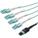 StarTech.com MPO8LCPL5M Fiber Optic Patch Duplex Network Cable