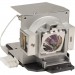 BTI 5J.J0405.001-OE Projector Lamp