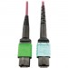 Tripp Lite N846D-05M-16CMG 400G Multimode 50/125 OM4 Fiber Optic Cable, Magenta, 5 m