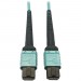 Tripp Lite N846D-05M-24AAQ 400G Multimode 50/125 OM4 Fiber Optic Cable, Aqua, 5 m