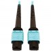 Tripp Lite N846D-10M-24AAQ 400G Multimode 50/125 OM4 Fiber Optic Cable, Aqua, 10 m