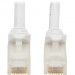 Tripp Lite N261AB-020-WH Cat.6a UTP Network Cable