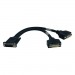Tripp Lite P576-001 DMS-59 to 2x DVI-I F Splitter Cable
