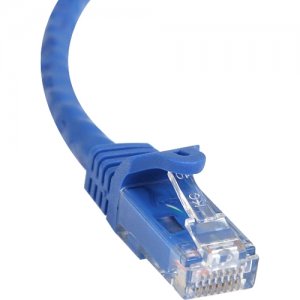 StarTech.com N6PATCH100BL 100 ft Blue Snagless Cat6 UTP Patch Cable