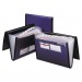 Pendaflex PFX52670 Professional Expanding Organizer, 7 Sections, Letter Size, Blue