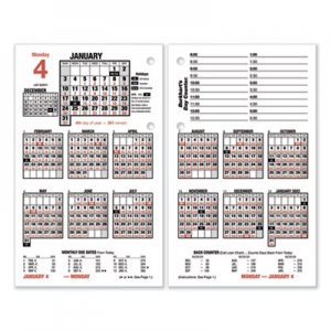 At-A-Glance AAGE71250 Burkhart's Day Counter Desk Calendar Refill, 4.5 x 7.38, White, 2021