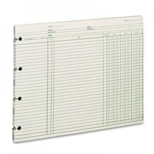 Wilson Jones GN2D Accounting, 9-1/4 x 11-7/8, 100 Loose Sheets/Pack WLJGN2D