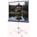 Da-Lite 40149 Picture King Portable and Tripod Projection Screen