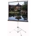 Da-Lite 86021 Picture King Portable and Tripod Projection Screen