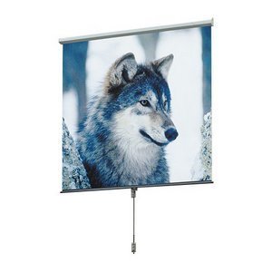 Draper 207005 Luma Manual Wall and Ceiling Projection Screen