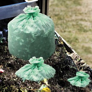 Stout E3039E11 EcoSafe-6400 Compostable Compost Bags, 1.1mil, 30 x 39, Green, 48/Box STOE3039E11