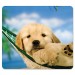 Fellowes 5913901 Recycled Mouse Pad, Nonskid Base, 7 1/2 x 9, Puppy in Hammock FEL5913901
