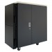 APC AR4024IA NetShelter CX 24U Secure Soundproof Server Room in a Box Enclosure International