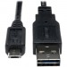 Tripp Lite UR050-006 USB Data Transfer/Power Cable