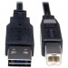 Tripp Lite UR022-010 Universal Reversible USB 2.0 A-Male to B-Male Device Cable - 10ft