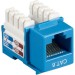 Black Box CAT6J-BL CAT6 Value Line Keystone Jack, Blue