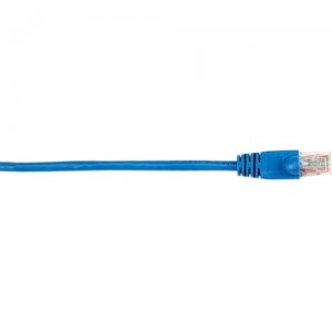 Black Box CAT6PC-002-BL CAT6 Value Line Patch Cable, Stranded, Blue, 2-ft. (0.6-m)