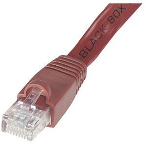 Black Box EVNSL643-0100 GigaTrue Cat. 6 Channel UTP Patch Cable