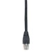 Black Box EVNSL640-0020 GigaTrue Cat. 6 Channel UTP Patch Cable