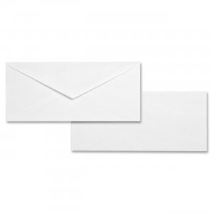 Business Source 04467 Business Envelope BSN04467