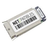 Netpatibles WS-G5484-NP Cisco Module
