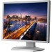 NEC Display P212 21" 4:3 Professional Desktop Monitor (White)