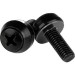 StarTech.com CABSCREWSM6B M6 x 12mm - Mounting Screws - 50 Pack, Black