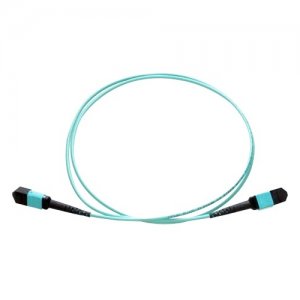 Axiom MPOFFOM31M-AX Fiber Optic Network Cable