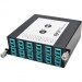 Tripp Lite N484-1M24-LC12 100Gb/120Gb to10Gb Breakout Cassette, 24-Fiber MTP/MPO to ( x12 ) LC Duplex