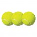 Champion Sports CSITB3 Tennis Balls, 2 1/2" Diameter, Rubber, Yellow, 3/Pack