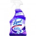 LYSOL 78915 Mold and Mildew Remover with Bleach RAC78915