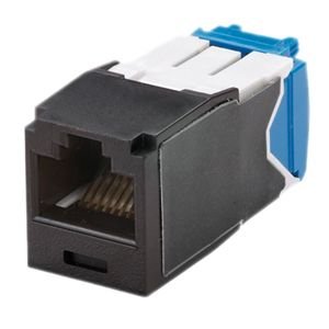 Panduit CJ688TGBL-24 Mini-Com TX6 Plus Modular Insert