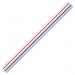 Staedtler 987 18-31BK Architectural Triangular Scale STD9871831BK