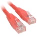 StarTech.com C6PATCH20RD 20ft Red Molded Cat6 UTP Patch Cable ETL Verified