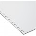 Swingline GBC 2020046 CombBind Pre-Punched Paper SWI2020046