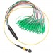 Fluke Networks SBKC-MPOAPCU-SCAPC 1 m Breakout Cord for SM MPOAPC Unpinned SCAPC Connector