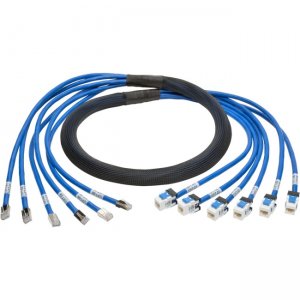 Tripp Lite N261-010-6MF-BL Cat.6a Patch Network Cable
