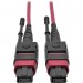 Tripp Lite N845-01M-12-MG MTP/MPO Multimode Patch Cable, Magenta, 1 m