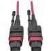 Tripp Lite N845-05M-12-MG MTP/MPO Multimode Patch Cable, Magenta, 5 m
