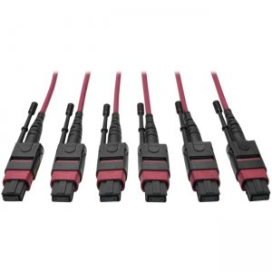 Tripp Lite N858-61M-3X8-MG MTP/MPO Multimode Base-8 Trunk Cable, Magenta, 61 m