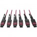 Tripp Lite N858-11M-3X8-MG MTP/MPO Multimode Base-8 Trunk Cable, Magenta, 11 m