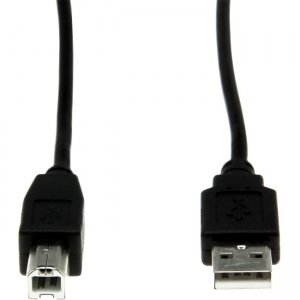 Rocstor Y10C116-B1 6 ft USB 2.0 Type-A to Type-B Cable - M/M