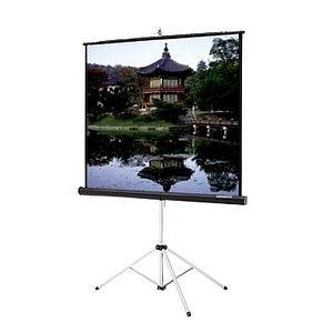 Da-Lite 93872 Picture King Portable and Tripod Projection Screen (Black carpeted)