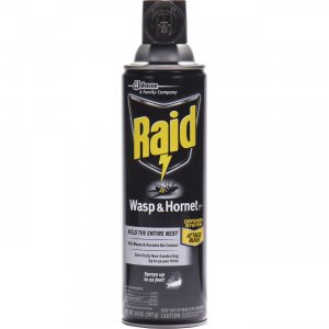 Raid 668006CT Wasp/Hornet Killer Spray SJN668006CT